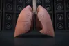 Photo of lungs 3d