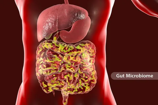 photo of gut microbiome