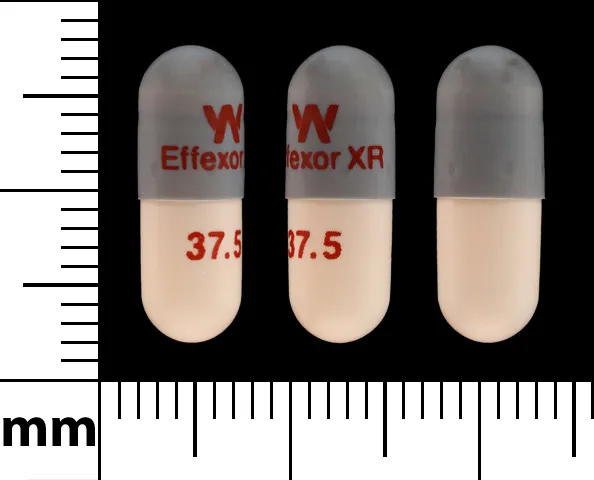 Venlafaxine (Effexor) W EFFEXOR XR 37.5 Pill Image