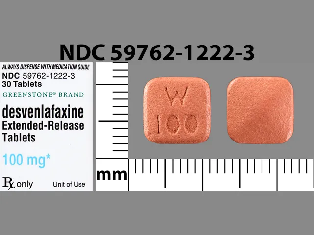 Desvenlafaxine (Pristiq) W 100 Pill Image