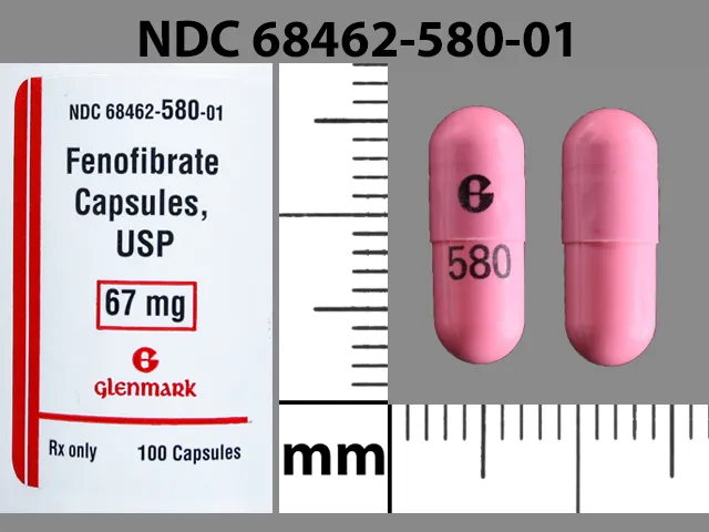 Fenofibrate G 580 Pill Image