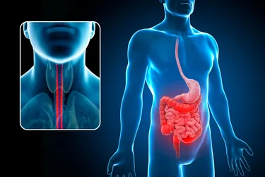 Esophagitis can lead to painful swallowing, acid reflux, chest pain, a feeling that something is stuck in your throat, and more. The side effects happen due to inflammation in your esophagus. (Photo Credit: Science Photo Library/Getty Images)