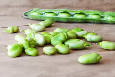 Lima beans grow in pods. They're a great source of fiber, protein, and other nutrients. They can also help with your heart health, brain health, digestive health, and many other things. (Photo Credit: iStock/Getty Images)
