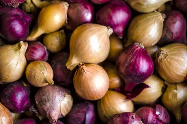 Onions are a good source of vitamins, minerals, and fiber and are known to offer a variety of health benefits. They also add a flavor boost to any breakfast, lunch, or dinner dish. (Photo credit: Olga Bakulina/Dreamstime)
