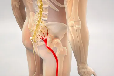 Your sciatic nerve branches off from your spinal cord. Pressure on the nerve can cause pain. (Photo credit: iStock/Getty Images)