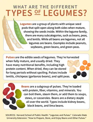 photo of Types of legumes