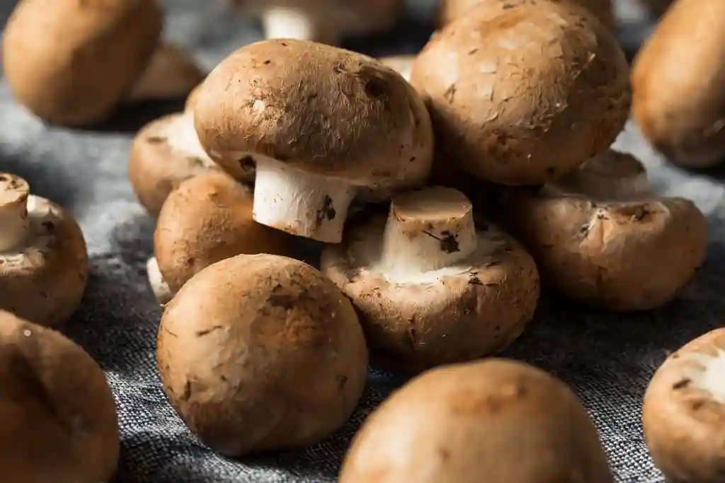 mushrooms