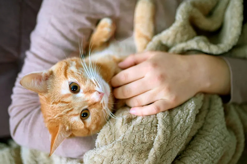 Can Pets Help Your Next Migraine Episode? Maybe