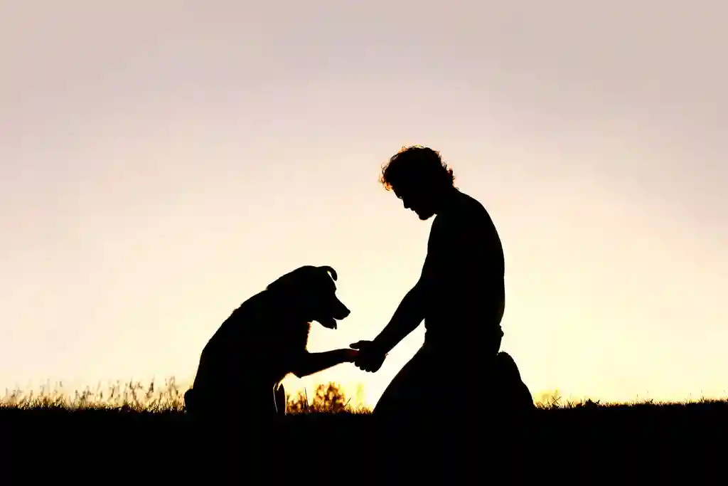 saying goodbye to dog