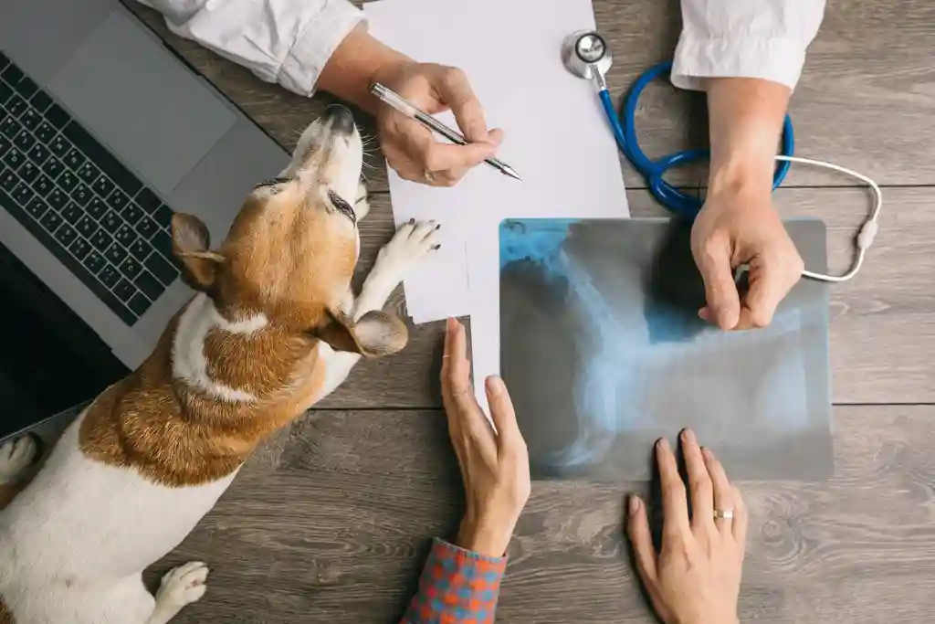 vet visit estimate