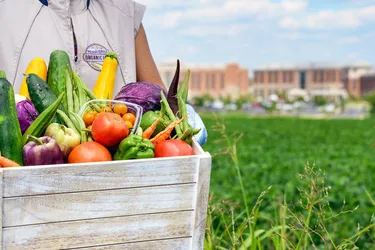 A crate of produce from St. Luke's Rodale Institute Organic Farm that will be incorporated into patient meals and sold at hospitals.