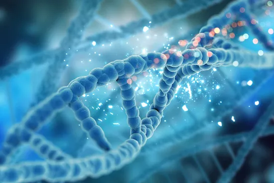 dna strand