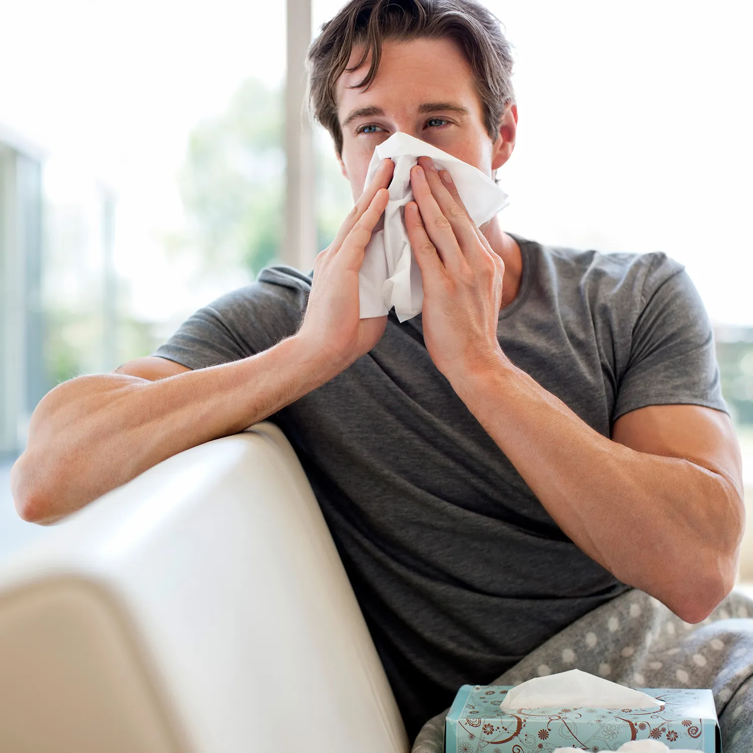 WebMD Cold and Flu Guide: The Common Cold