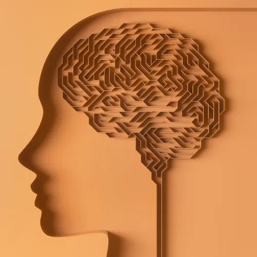 photo of human brain conceptual