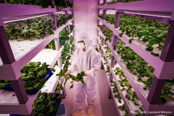 photo of food research