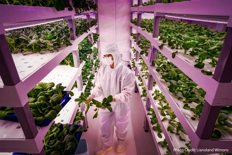 In the Future, How Will We Feed Ourselves?