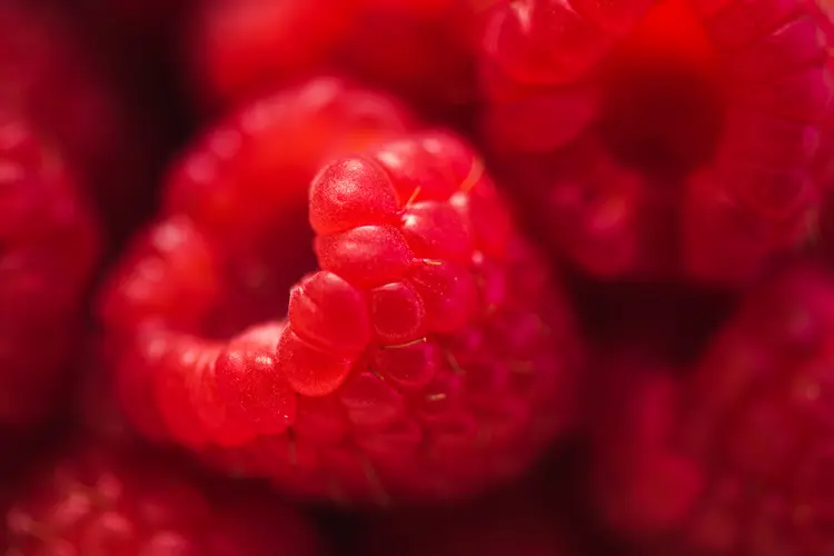 photo of raspberries close up