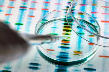 Misconceptions About Genomic Tests – SKCD
