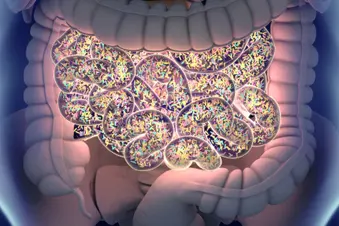 photo of gut bacteria
