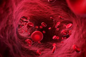 photo of medical lifestyle blood vessel red dark