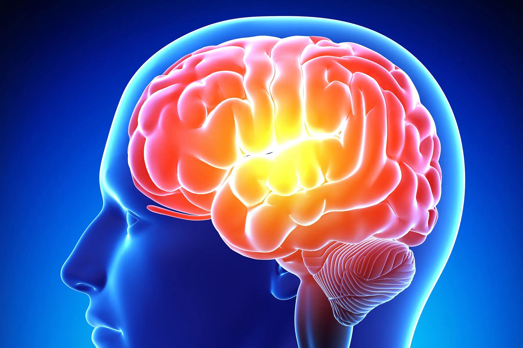 Снижение активности мозга. Память человека. Мозг память. Мозговая активность.