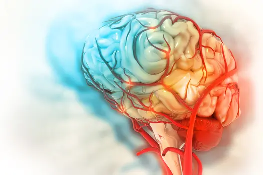 checklist of scientific illustration brain fascinating