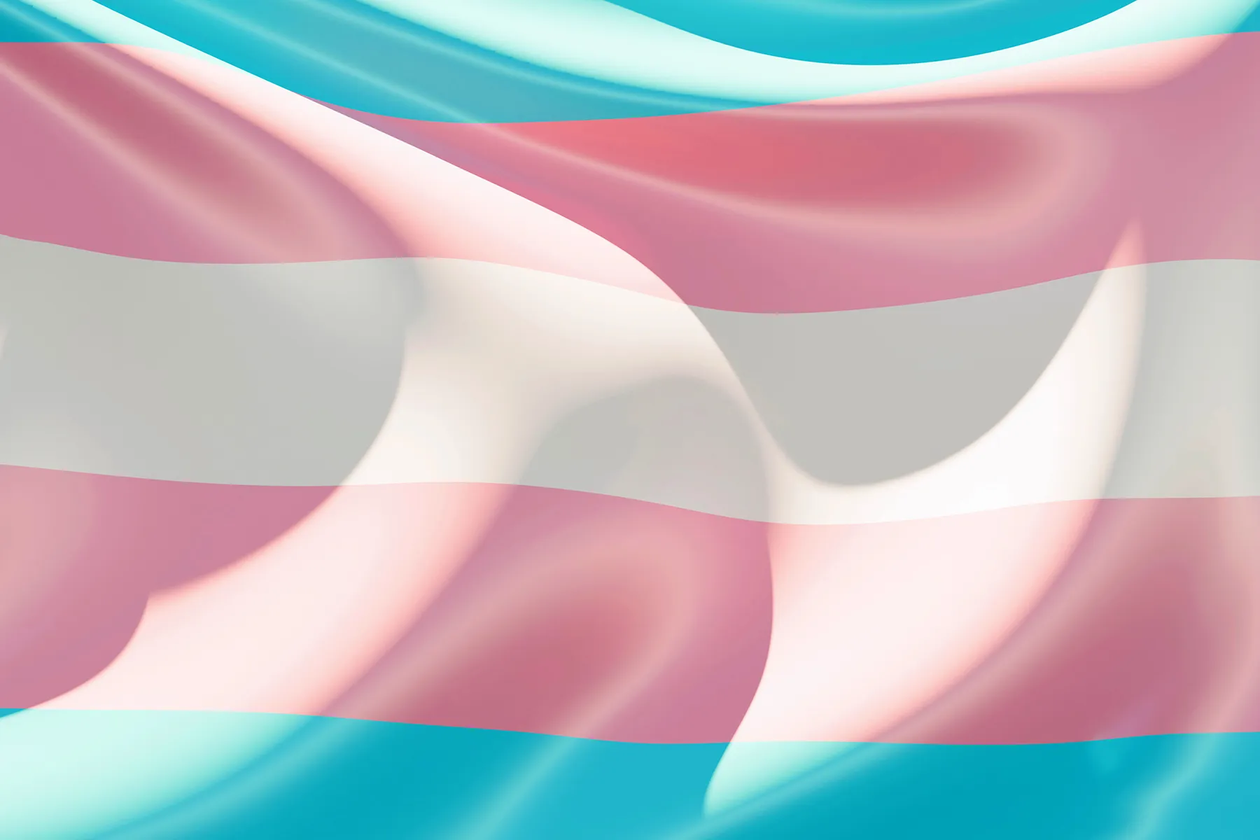 photo of transgender flag