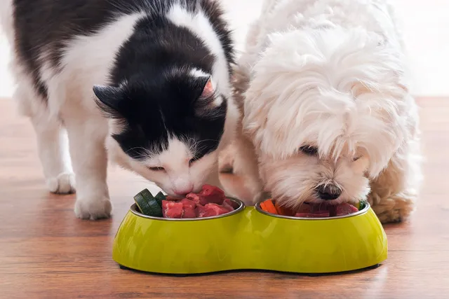 Your Pet's Nutrition Needs