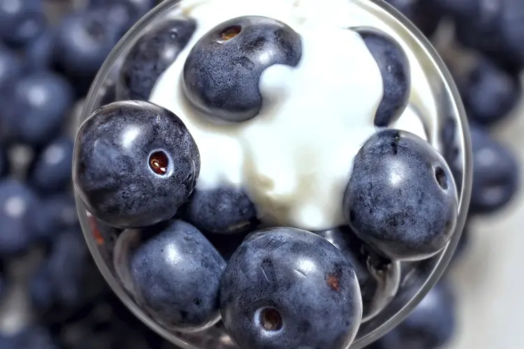 photo of yogurt and fresh blueberries