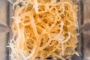 Sea moss is a vegan, gluten-free source of many nutrients, including Vitamin B2, calcium, magnesium and zinc.