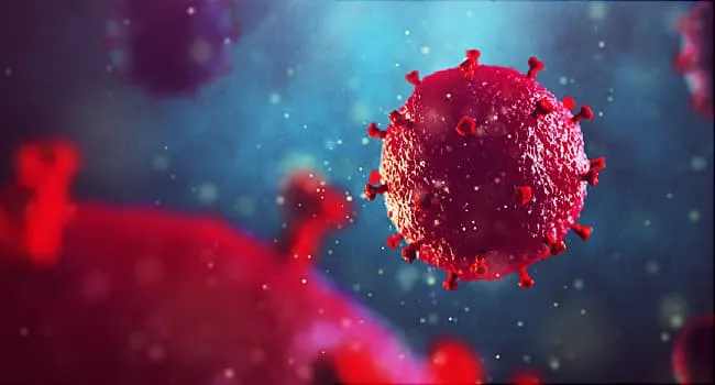 Effects of HIV on the Body: Virus and Medications