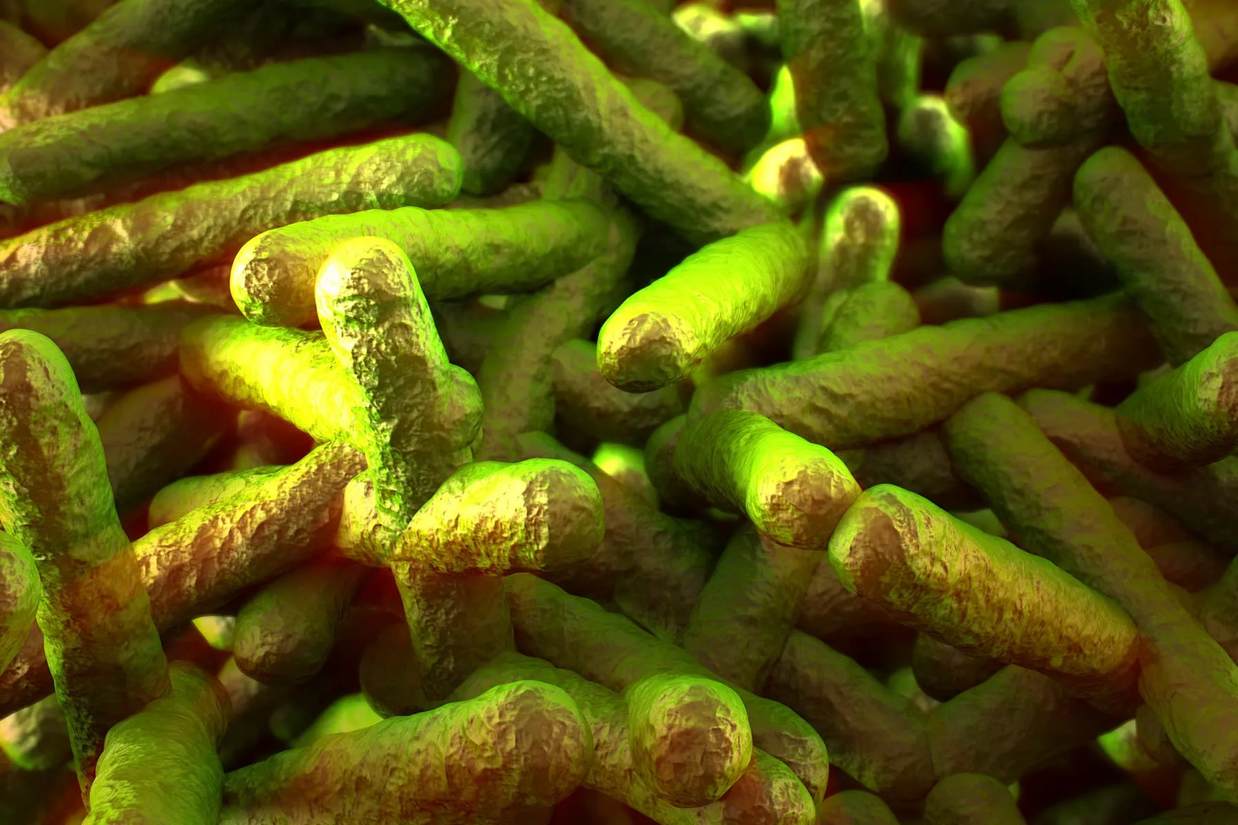 Deadly Multistate Listeria Outbreak Linked to Deli Meats, Cheeses