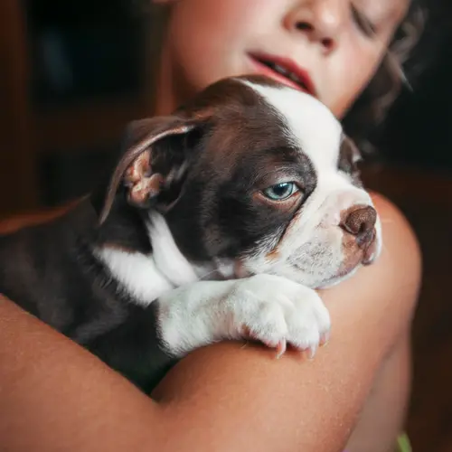 photo of girl holding puppy