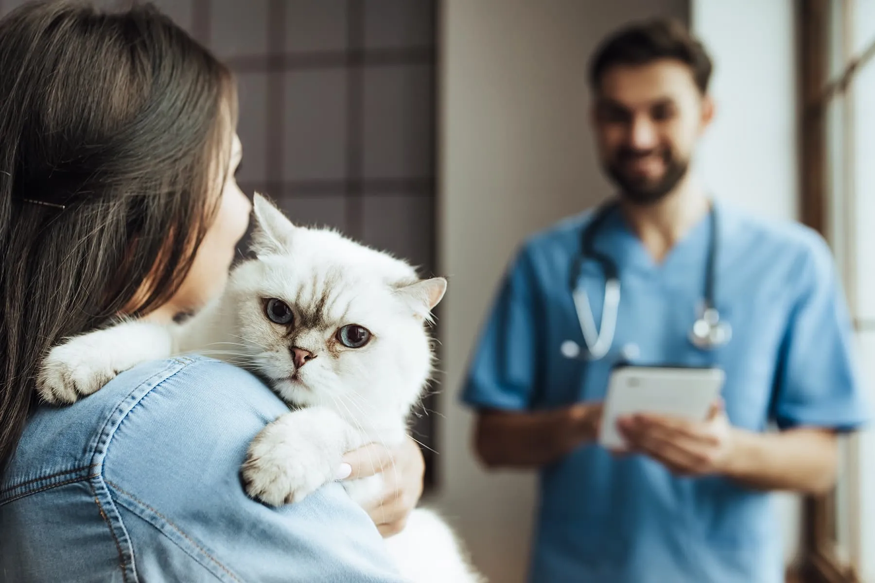 Diseases Your Pets Can Pass to You Shown