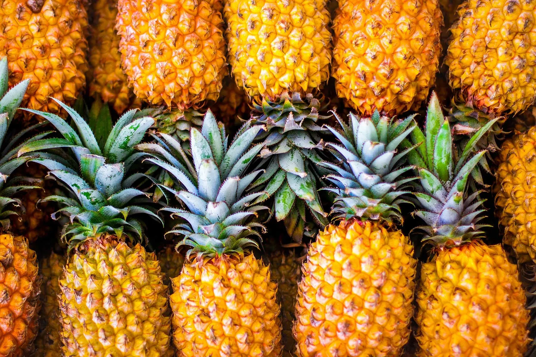 Health Benefits of Pineapple