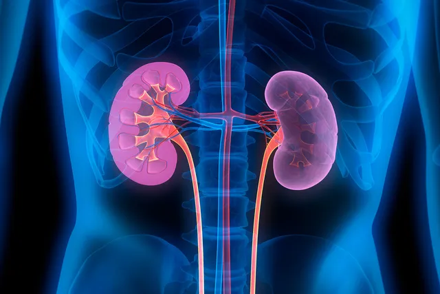 Links to Kidney Disease