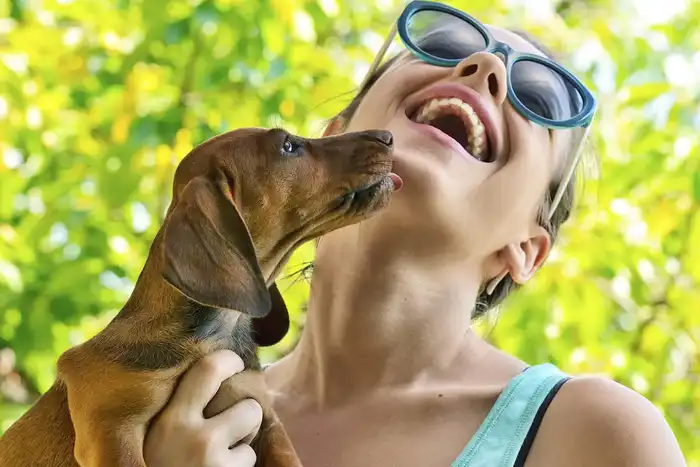 photo of dog licking woman
