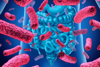 photo of gut bacteria