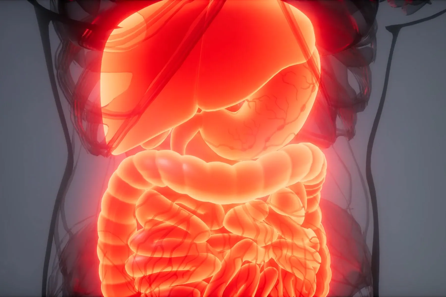 More Than 2 Million in U.S. Have Inflammatory Bowel Disease – SKCD
