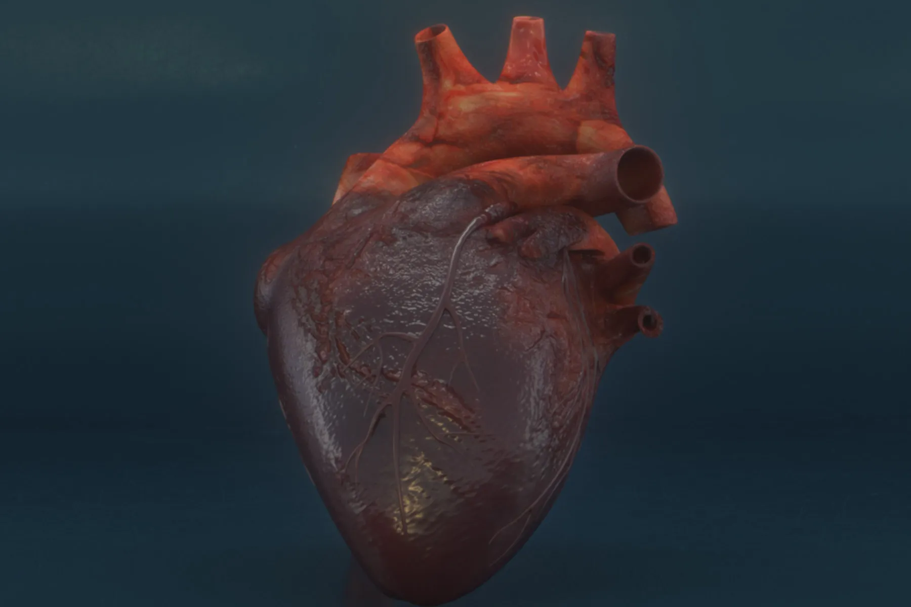 COVID-19 Video On How This Virus Impacts Heart And Blood Pressure