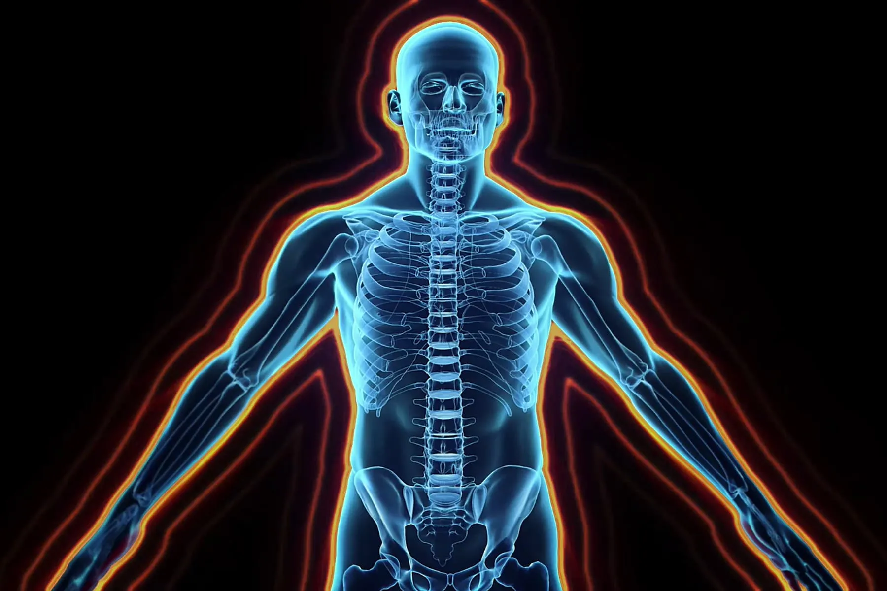 How MS Medications Work