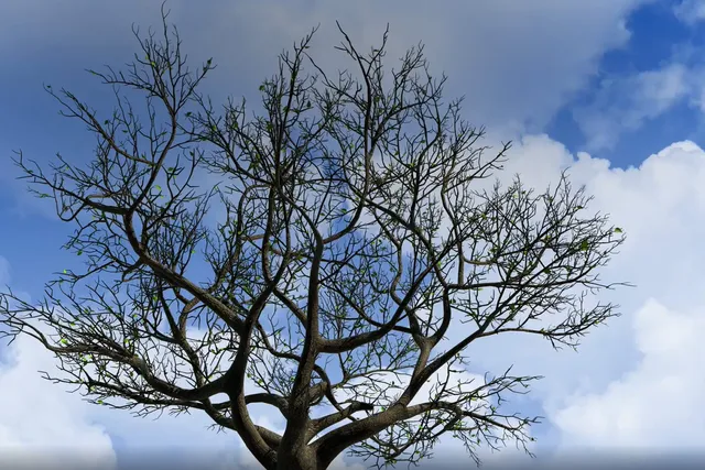 When the Seasons Change