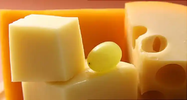 Video on The Truth About Cheese