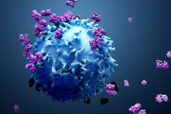 photo of proteins with lumphocytes