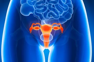 Hysterectomy surgery involves removal of the uterus and sometimes other structures like the cervix, ovaries, and fallopian tubes. Photo Credit: SEBASTIAN KAULITZKI / Getty Images 
