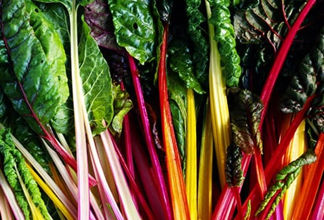 Swiss Chard