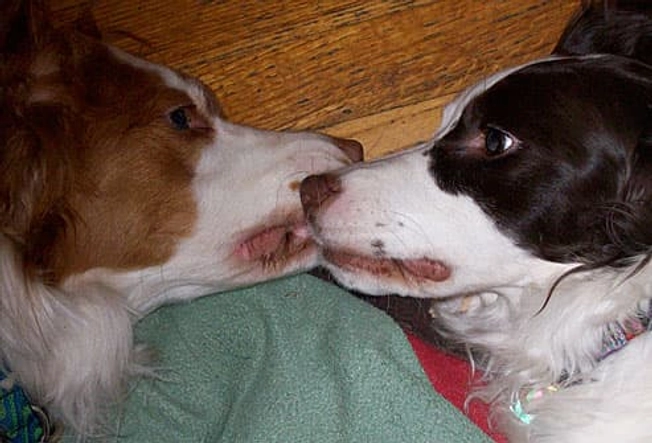 Latte and Mocha