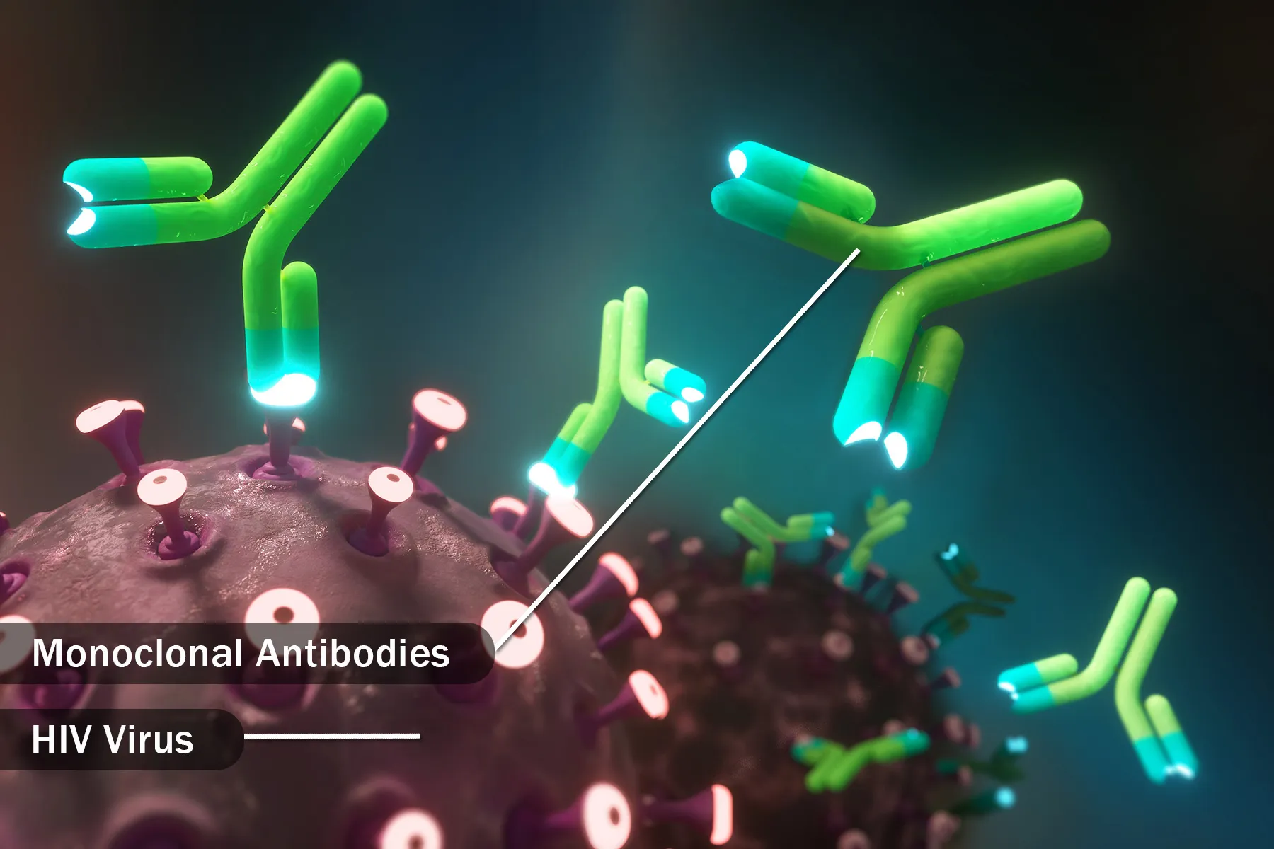 Monoclonal Antibodies Losing Effectiveness Against COVID19 Variants