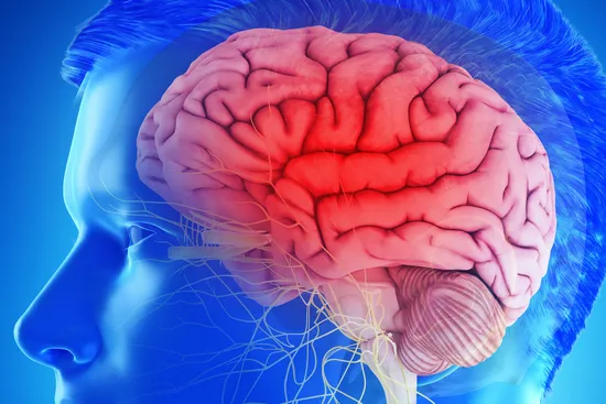 photo of brain
