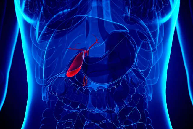 What Does Your Gallbladder Do?